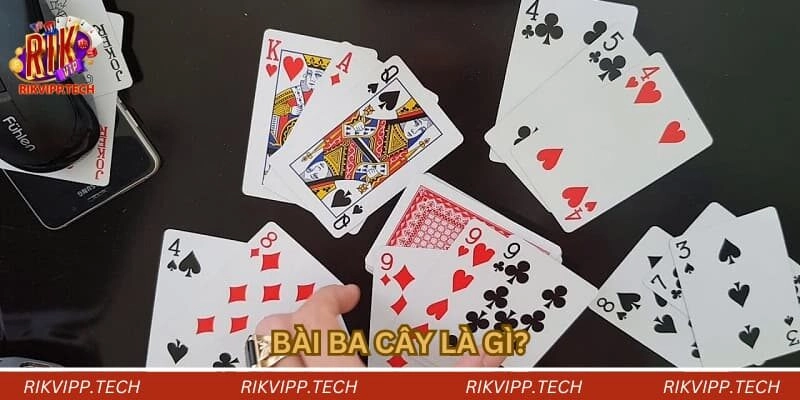Bài ba cây là gì? Bài ba cây là gì?