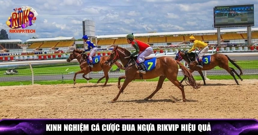 Kinh nghiệm cá cược đua ngựa Rikvip hiệu quả